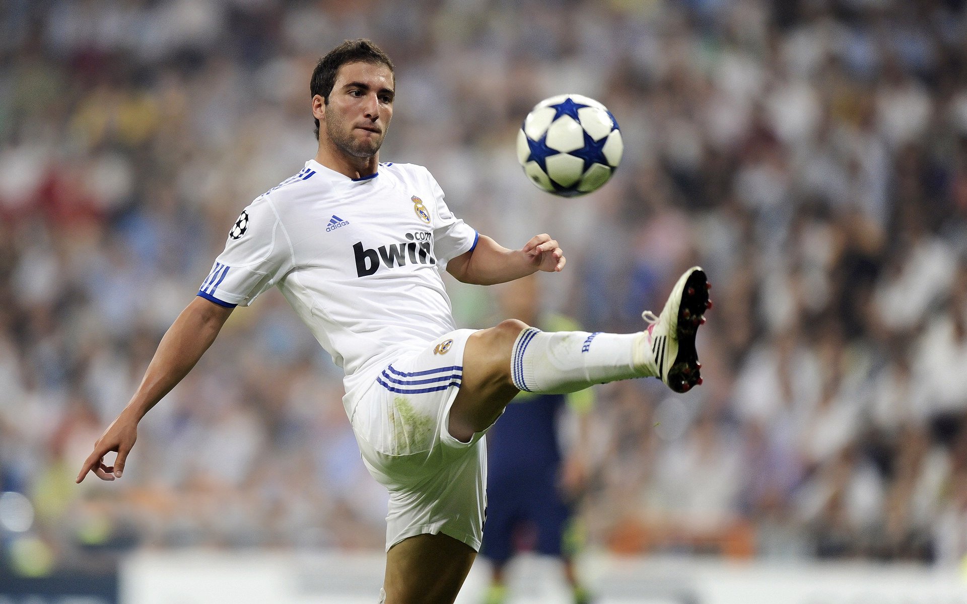 赛道新秩序,皮亚斯特里火热状态引领,阿斯顿马丁完胜红牛二队